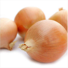 Onion seeds «Dorato di parma»