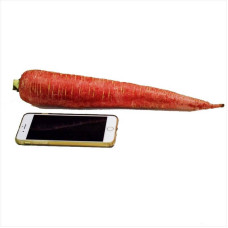 Carrot seeds «Red giant»