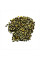 Corn seeds «Green»