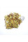 Corn seeds «Miniature color»