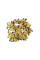 Corn seeds «Miniature color»