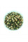 Corn seeds «Oaxacan green»