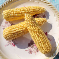 Corn seeds «Juliet» F1