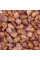 Corn seeds «Ukrainian Bicolor» F1