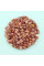 Corn seeds «Ukrainian Bicolor» F1