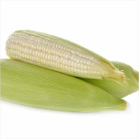 Corn seeds «White Queen»