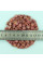 Corn seeds «Sentis» F1
