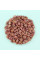 Corn seeds «Sentis» F1