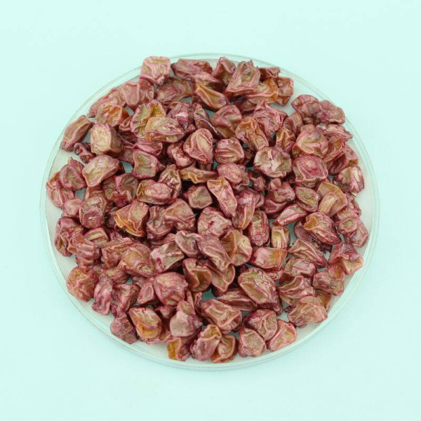 Corn seeds «Sentis» F1