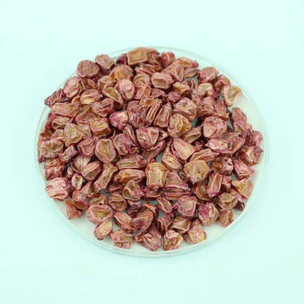Corn seeds «Ayova» F1