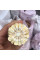 Corn seeds «Monblan» F1