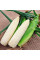 Corn seeds «Monblan» F1