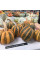 Pumpkin seeds «Tonda Padana»
