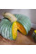 Pumpkin seeds «Marina di Kezhzha»