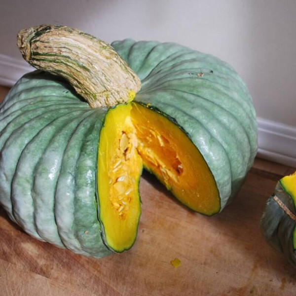 Pumpkin seeds «Marina di Kezhzha»