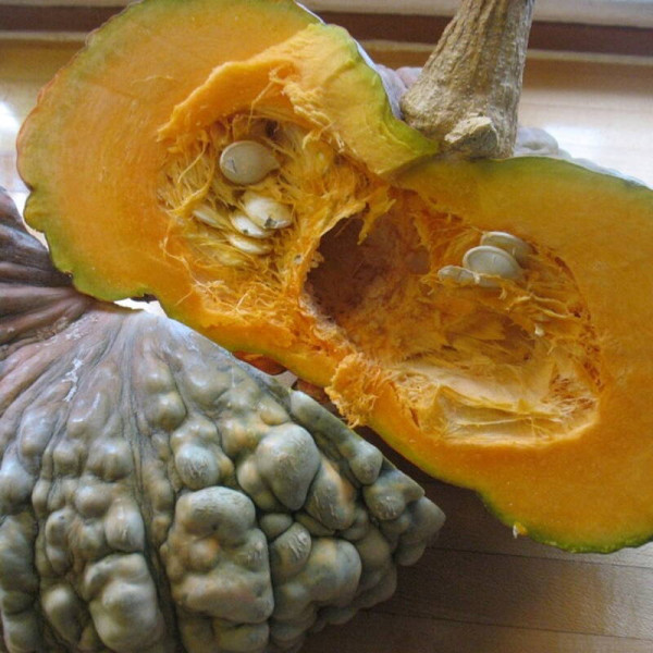 Pumpkin seeds «Marina di Kezhzha»