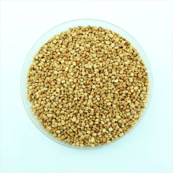 Salad seeds «Verde de Cambrai»