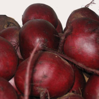 Beet seeds «Nokhovskyy»