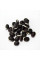 Dolichos seeds «Purple garland»