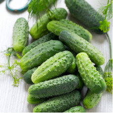 Cucumber seeds «Source»