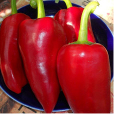 Sweet pepper seeds «Morozko»