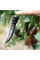 Sweet pepper seeds «Marconi Purple»