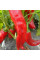 Sweet pepper seeds «Marconi Purple»
