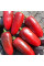 Hot pepper seeds «Jalapeno Tajin»