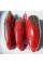Hot pepper seeds «Jalapeno Tajin»