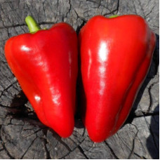 Sweet pepper seeds «Egyptian force»