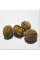 Семена грецкого ореха «Идеал»