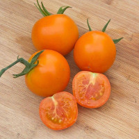 Tomato seeds «Pomeranian»