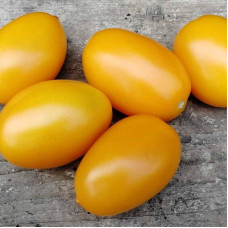 Tomato seeds «Gourmet yellow»