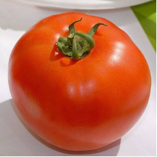 Tomato seeds «Bobcat»