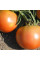 Tomato seeds «Long keeping»