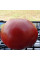 Tomato seeds «Ukrainian hero»