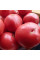 Tomato seeds «Cap of Monomakh»
