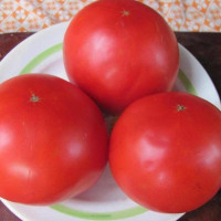 Семена томата «Король гигантов»