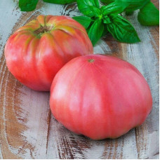 Tomato seeds «Royal gift»