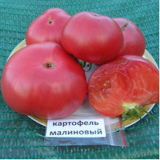 Семена томата «Картофельный малиновый»