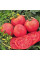 Tomato seeds «Pink hero»