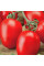 Tomato seeds «Marusya»
