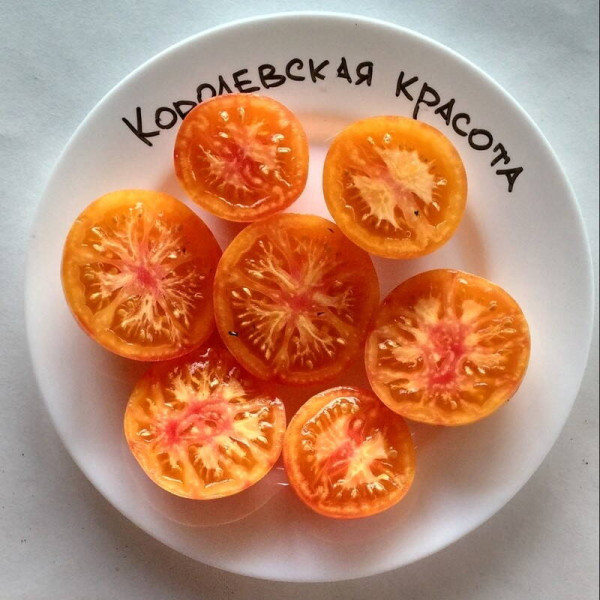Семена томата «Королевская красота»
