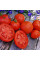Tomato seeds «Athol»