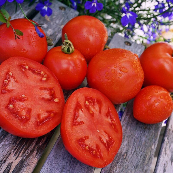 Tomato seeds «Athol»
