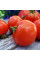 Tomato seeds «Athol»