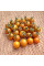 Tomato seeds «Dark Orange Muscat»
