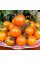 Tomato seeds «Dark Orange Muscat»