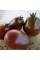 Tomato seeds «Black pear»