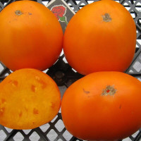 Tomato seeds «German yellow strawberry»